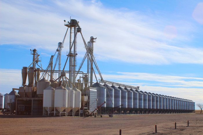Main farm south of Purple Springs