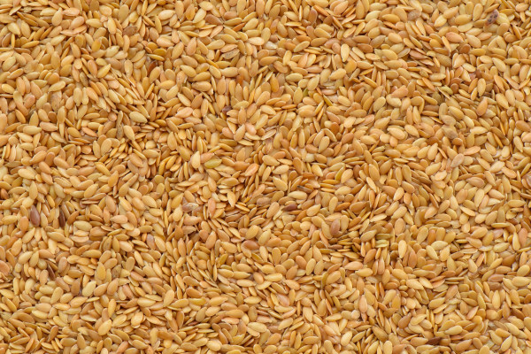 Yellow Flax