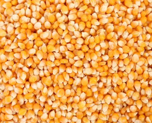 Corn