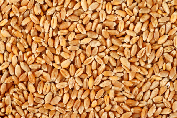 Durum