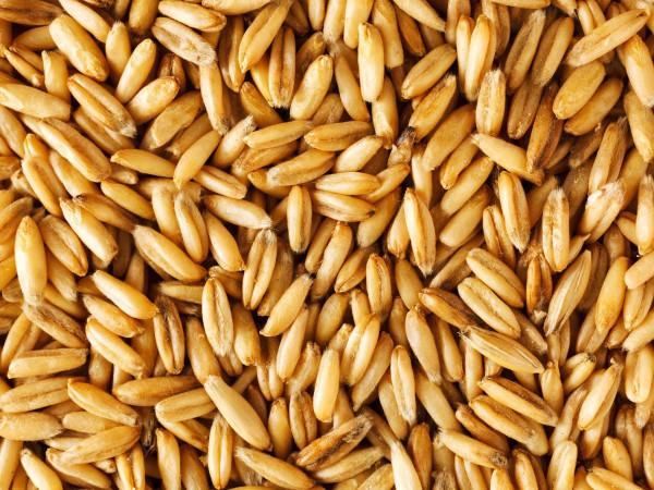 Oats