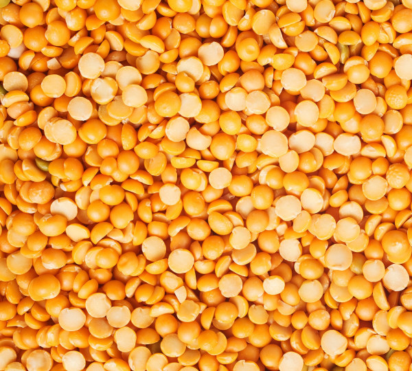 Yellow Peas