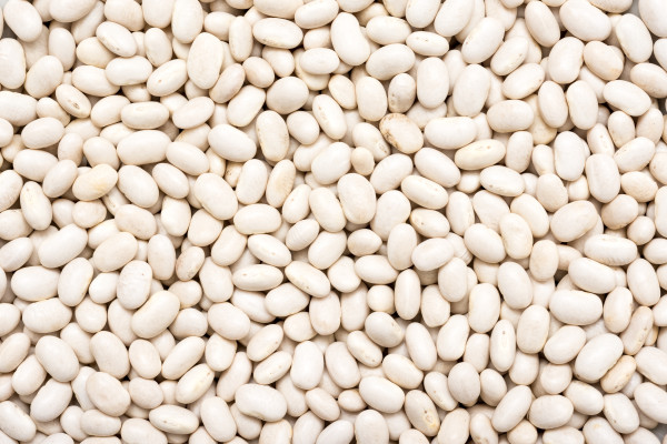 Great Northern Beans