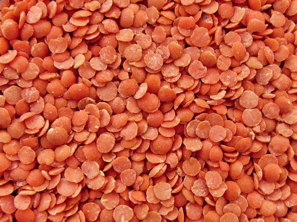 Lentils