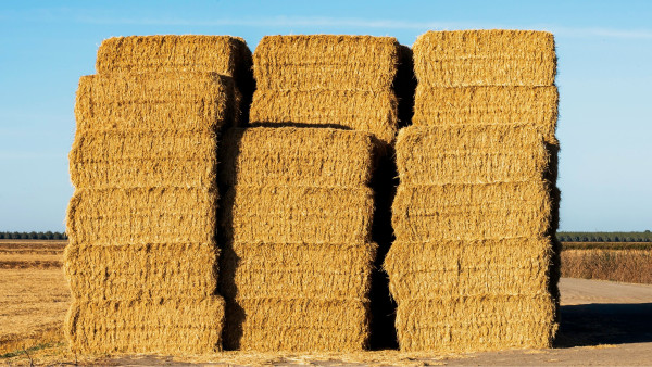 Flax Bales
